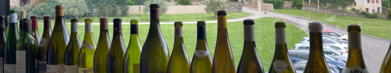 Une journée conviviale au Domaine Stéphane Ogier
