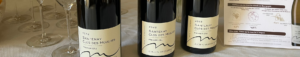 gfv terroir de meursault
