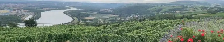 GFV de Stéphane Ogier et Stéphane Montez : Retour sur la rencontre de leurs associés !