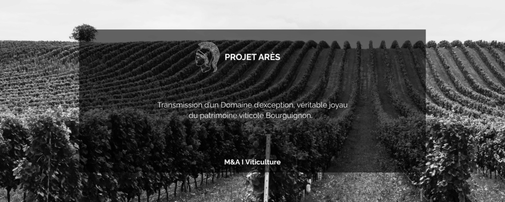 viticulture (4)
