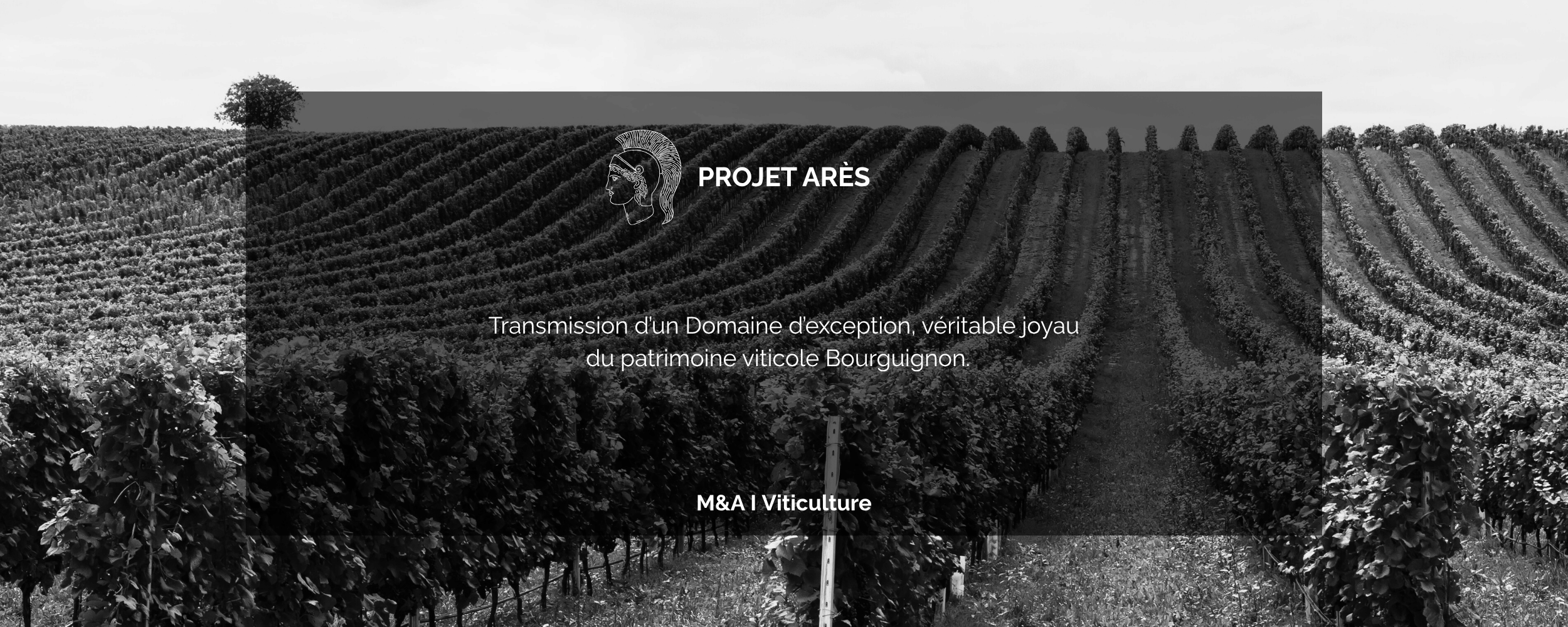 viticulture (4)
