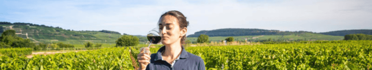 GFV Héritage Pommard Espineaul