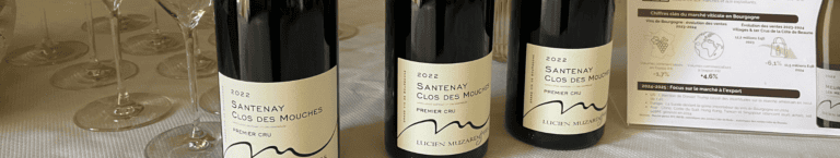 Rencontre GFV Terroir de Meursault