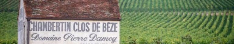 André Le Groupe et Canovia Banque d&rsquo;Affaires accompagnent le Domaine Pierre Damoy dans sa transmission à la Maison Champagne Louis Roederer