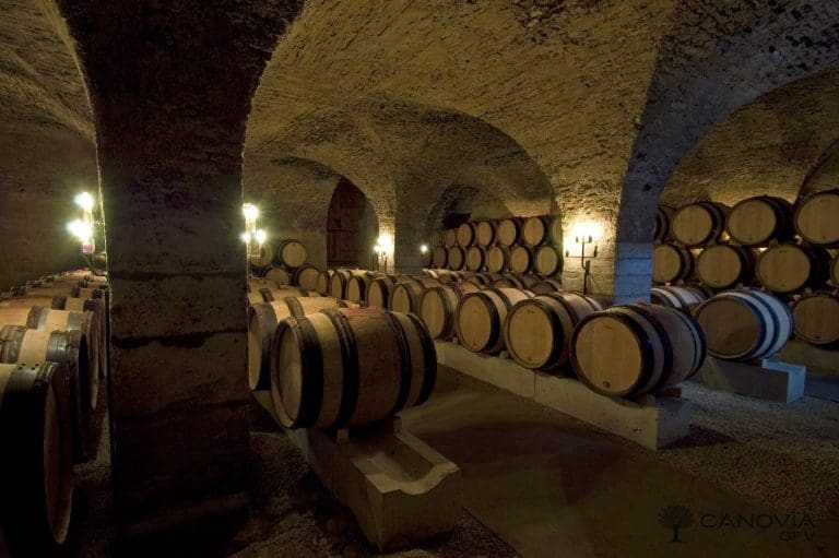 Les vendanges au Domaine de Bellene